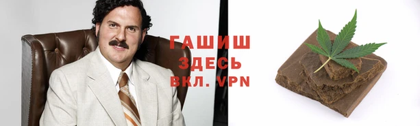 шишки Армянск
