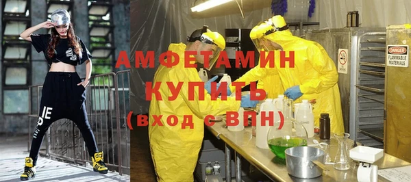 шишки Армянск